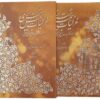 Ghazaliyyat van Shams-e Tabrizi (Perzische editie met miniatuurschilderingen)