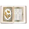 De Divan van Hafez Shirazi met doos (Farsi)