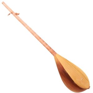 Perzisch Dutar-instrument, model Torbat Jam