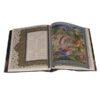 De Divan van Hafez Shirazi met miniaturen (Engels & Perzisch)