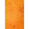 De Masnavi van Maulana Jalaluddin Rumi (Perzische Editie)