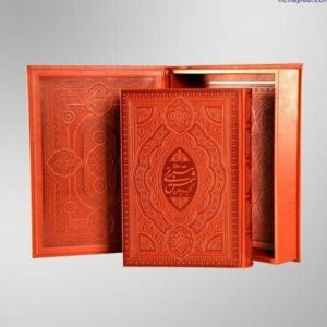 Geselecteerde gedichten uit de Divan van Shams-e Tabrizi