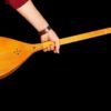 Perzische Dutar Instrument - Meester Akbari Model - Topkwaliteit