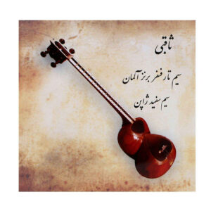 Set snaren voor Perzische tar – model Saghebi GR56