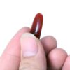 Mezrab Plectrum voor Perzische Tar Rode Agaat