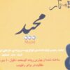 Tar Pardeh (Fret) – Model Majid Medium