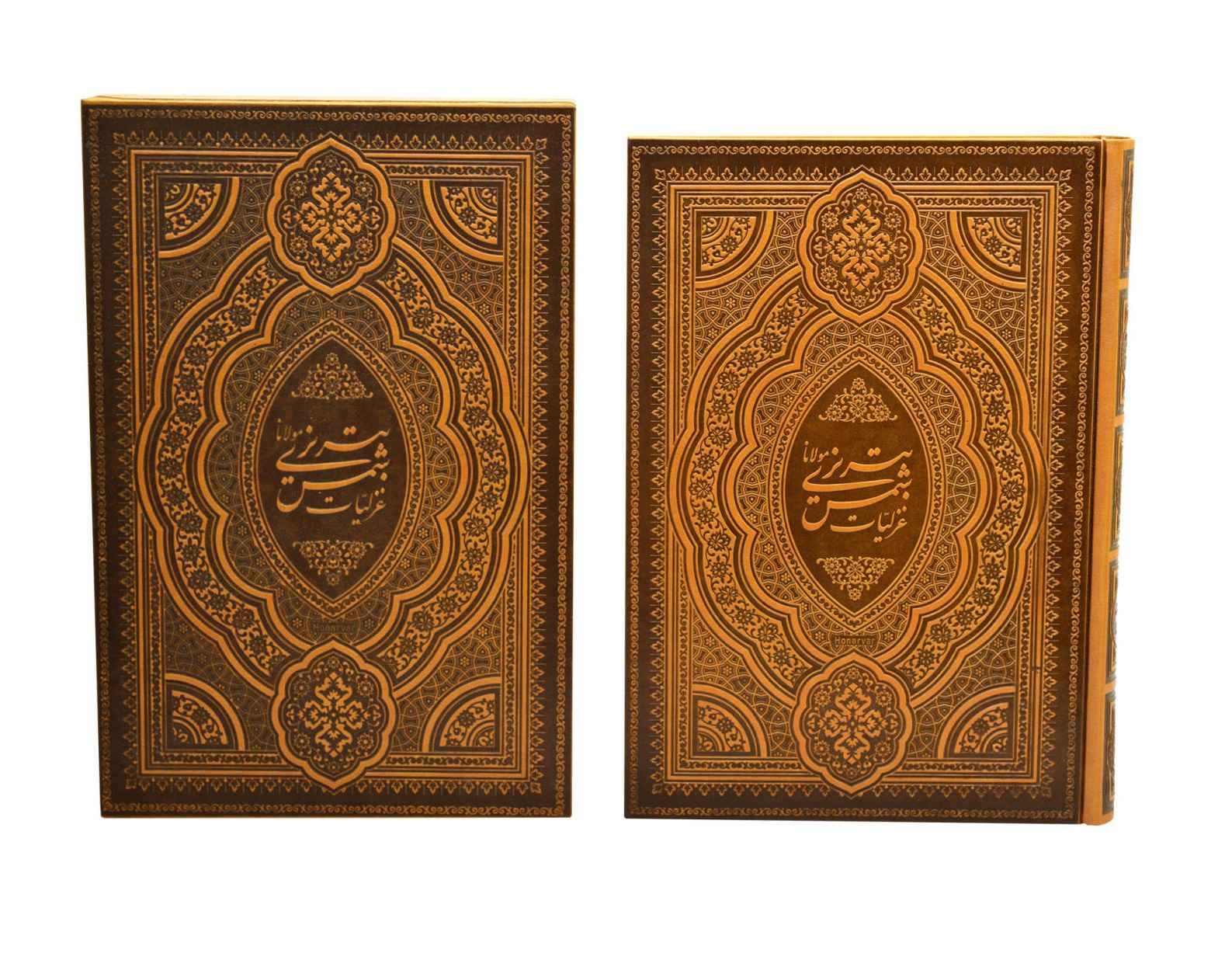 Ghazals van Shams-e Tabrizi (tweetalig Perzisch & Engels)