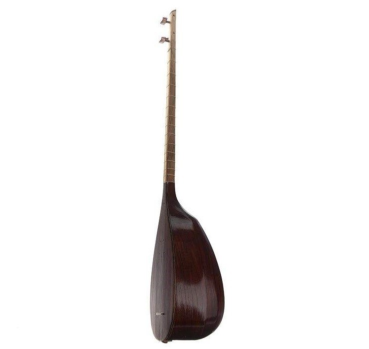 Perzische tanbur (tanboor) door Sirous Razavi