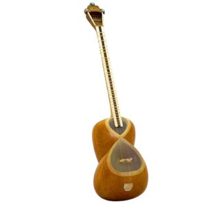 Perzische tar-snaarinstrument – handgemaakt door IranSaz, model Firoozeh