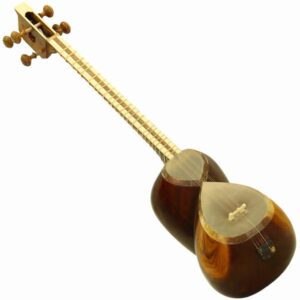 Perzische tar-snaarinstrument – handgemaakt door IranSaz, model H700