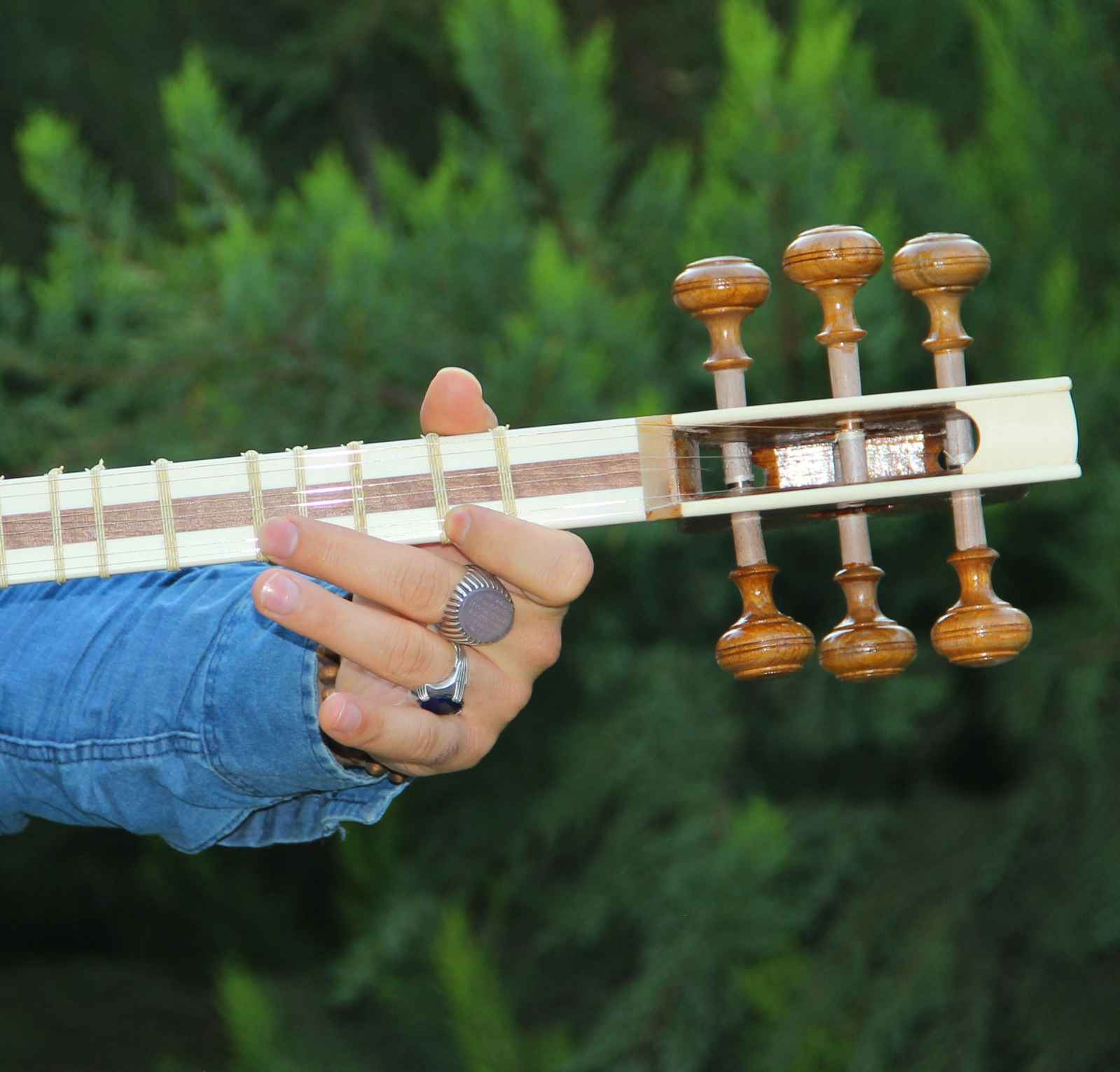 Perzische tar-snaarinstrument – handgemaakt door IranSaz, model H700