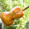Perzische tar-snaarinstrument – handgemaakt door IranSaz, model Firoozeh