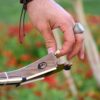 Perzische tar-snaarinstrument – handgemaakt door IranSaz, model Argavan