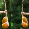 Perzische tar-snaarinstrument – handgemaakt door IranSaz, model Firoozeh