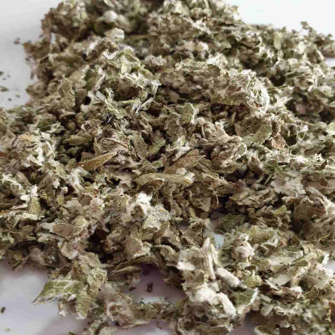 Gedroogd hoefblad (Tussilago farfara) – 600 g