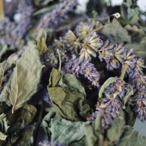 Gedroogd hysopkruid (Hyssopus officinalis) – 700 g