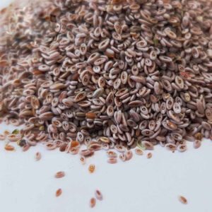 Gedroogde psylliumzaden (Ispaghula) – 600 gram