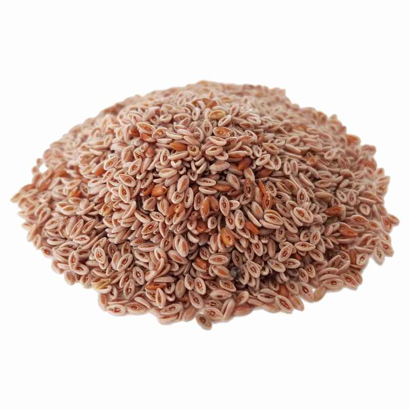 Gedroogde psylliumzaden (Ispaghula) – 600 gram