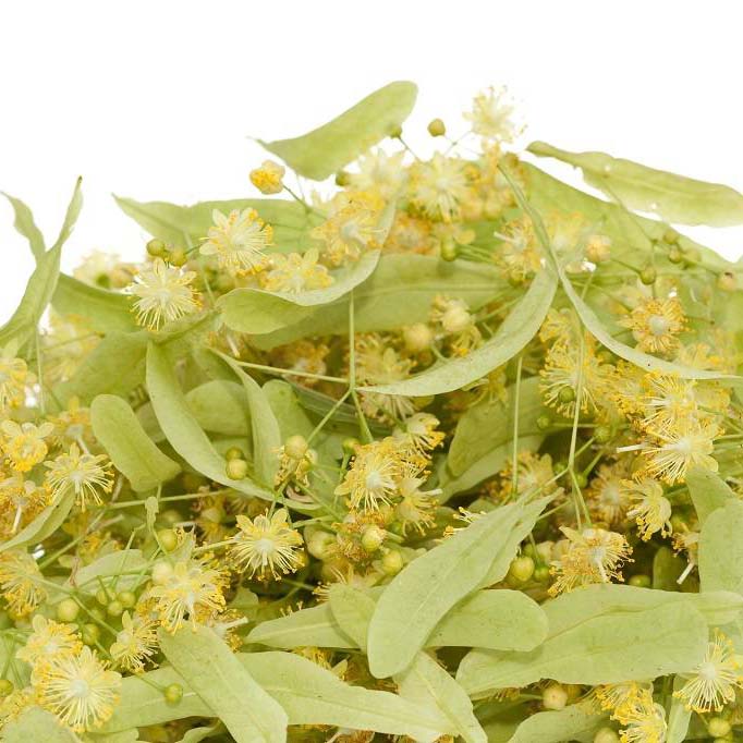 Gedroogde lindebladeren & -bloemen – 500 gram