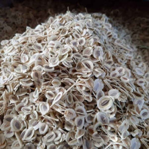 Gedroogde lavaszaden – 600 g premium keukenkruid