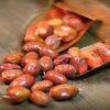 Gedroogde oleaster (Russische olijfvruchten) – 2500 gram