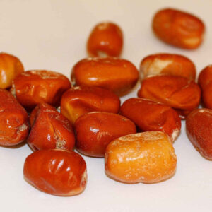 Gedroogde oleaster (Russische olijfvruchten) – 2500 gram
