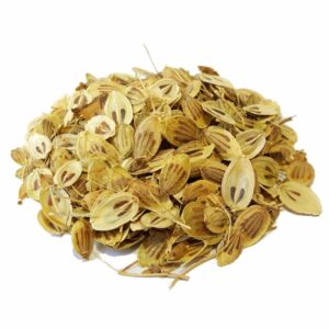 Golpar: gedroogde engelwortelzaden / Perzische berenklauw – 800 g aromatisch keukenkruid