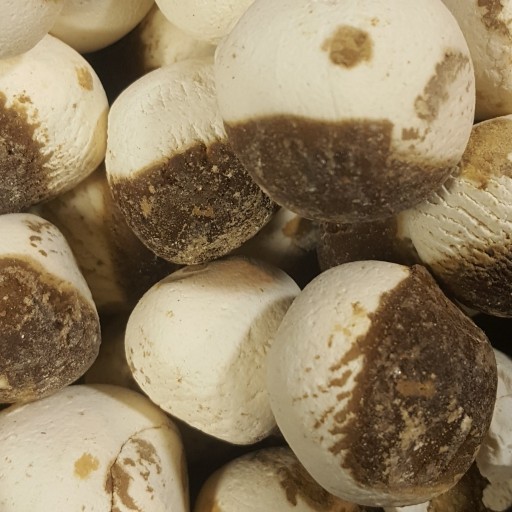 Gemengde Perzische Kashk – Assortiment witte & zwarte zure kwark – 800g