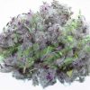 Gedroogde Stachys lavandulifolia (Chaye-e-Kohi) – 800 gram