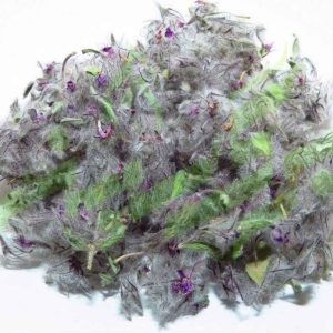 Gedroogde Stachys lavandulifolia (Chaye-e-Kohi) – 800 gram