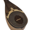 Perzisch Shurangiz Avayeh Molana snaarinstrument – model Aflak