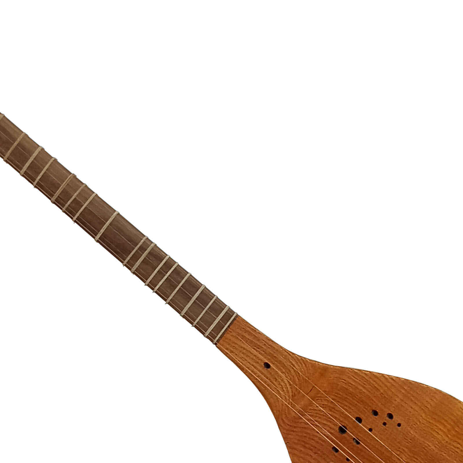 Perzische Setar door Abkari, model 003 (Intermediair niveau)