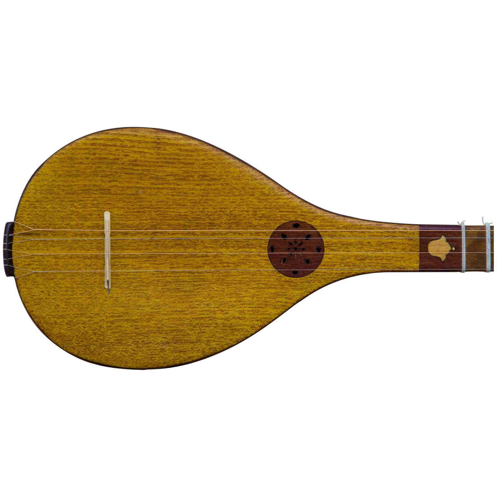 Handgemaakte Perzische Setar – Malkshahi VIP-model (Professioneel Instrument)