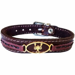 Perzische leren armband voor mannen en vrouwen – Aban symbool