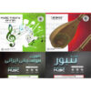 Vereenvoudigde Perzische tanbour-les & muziektheorie 5 dvd’s