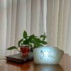 Perzisch Glow Salt Lamp – Handgemaakt met Sama Dance Ontwerp