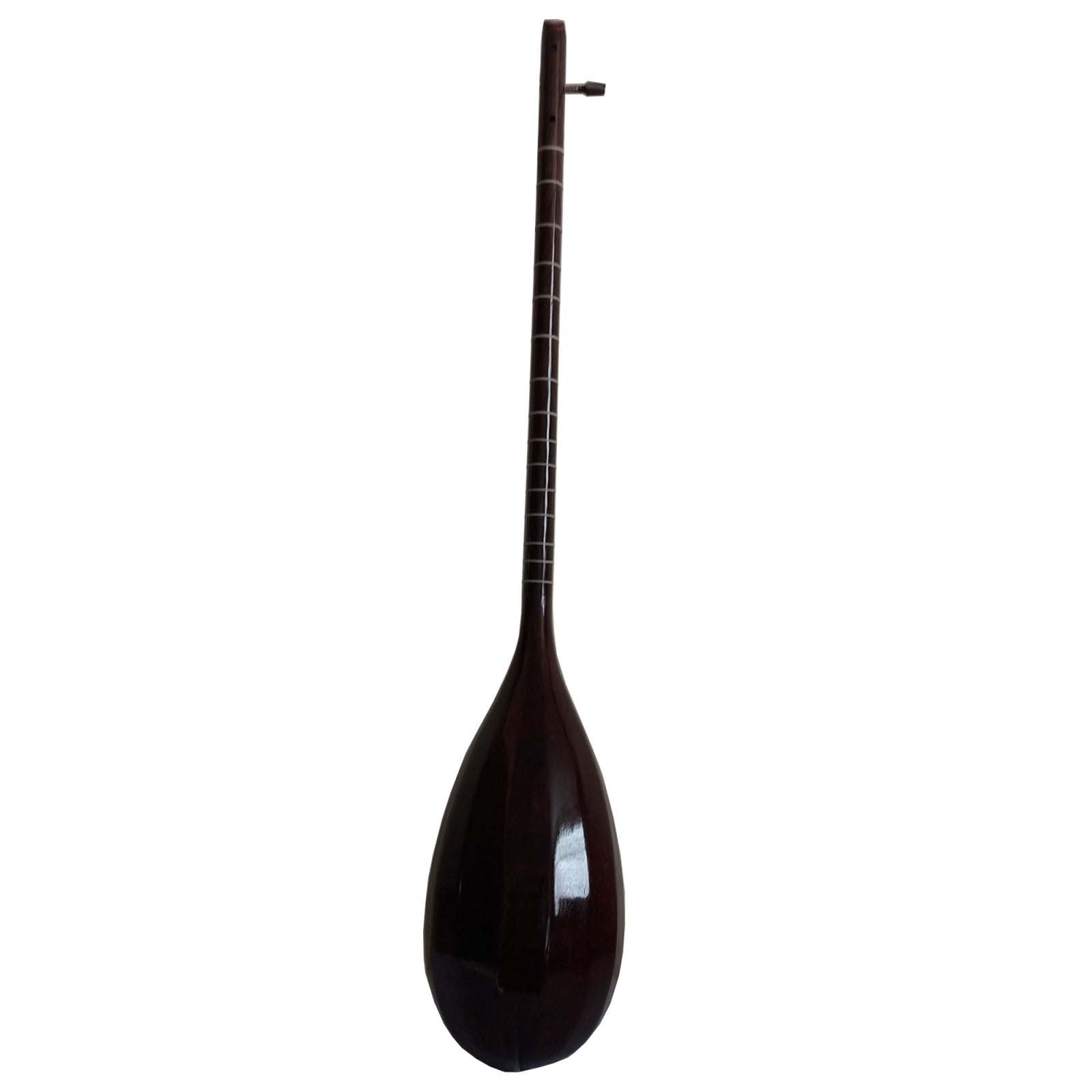 Perzische Tanbur Tanboor Instrument door Maftahi, 1 Stempel