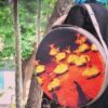 Zachte Tas voor Perzische Daf Drum Model Sama Dance