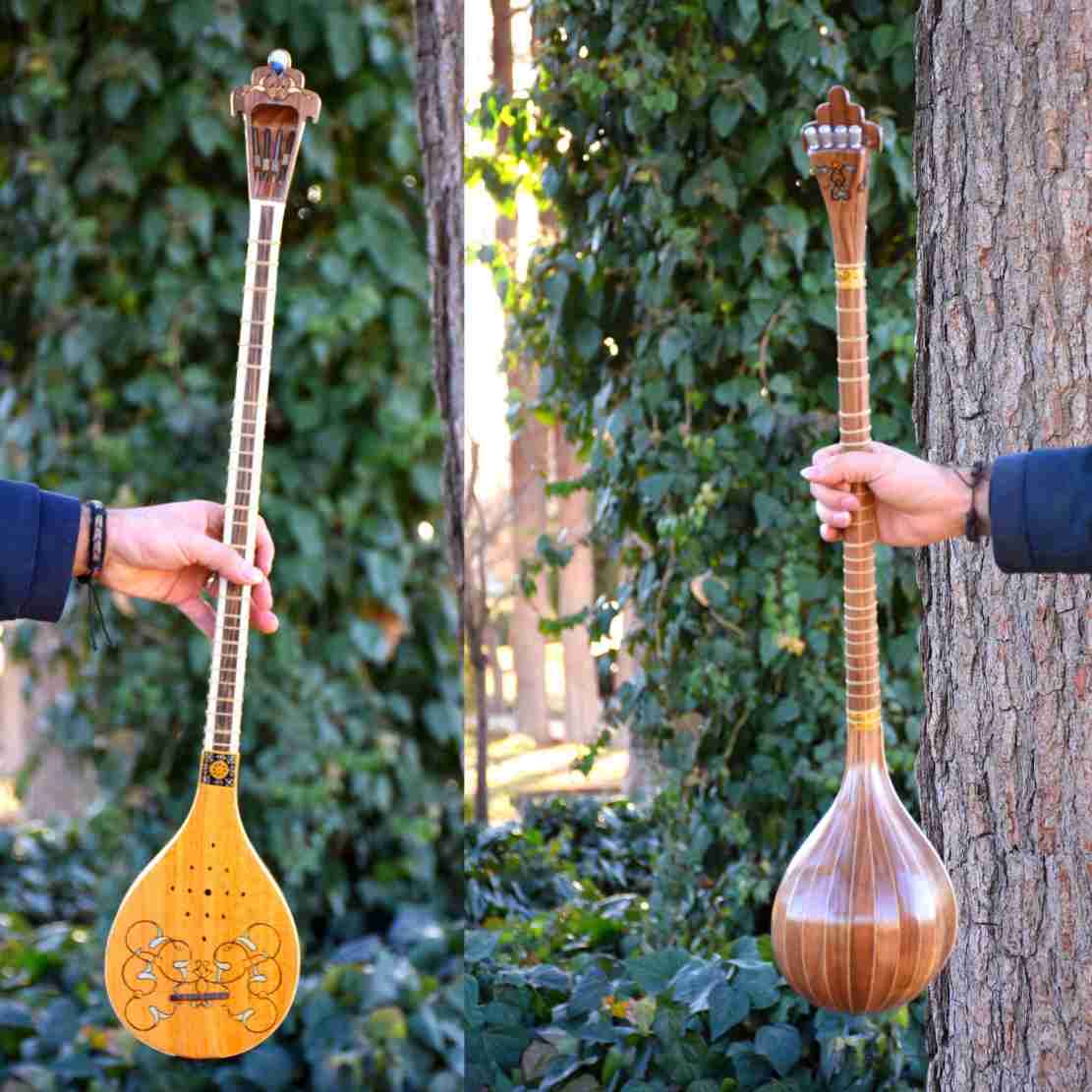 Traditionele Perzische Setar door Iransaz, Model Barbad
