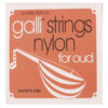 Gali N0200 Oud Snaren – Professionele Set