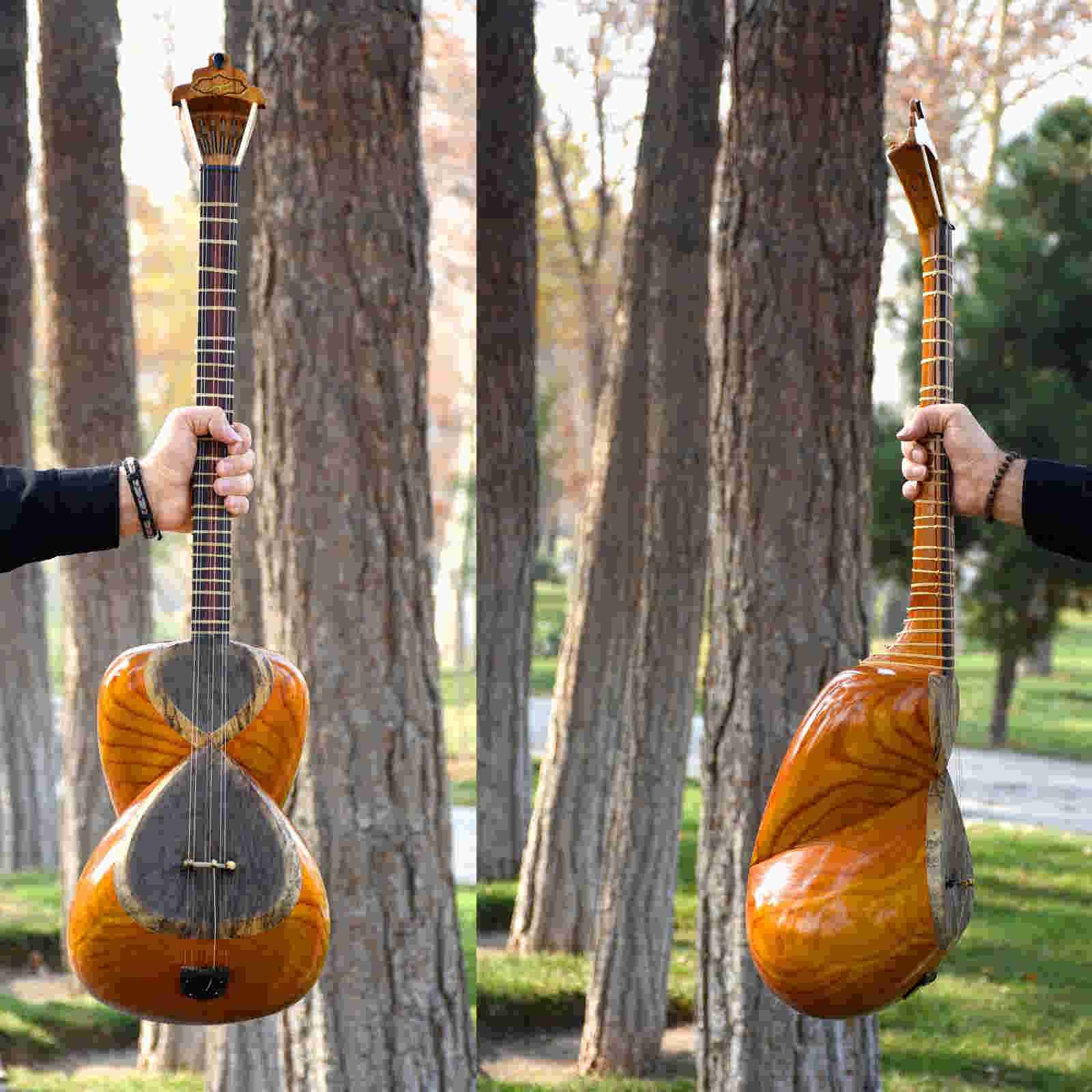 Perzische Tar Snaar Instrument – Handgemaakt door IranSaz, Model Sepehr