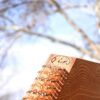 Perzische Santur – Handgemaakt Hammered Dulcimer door IranSaz, Surena