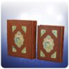 Geselecteerde Gedichten uit het Divan van Rumi Boek (Farsi Editie)