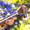 Perzisch Tar Snaarinstrument – Handgemaakt Iran-Saz – Model Vida