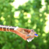 Perzisch Tar Snaarinstrument – Handgemaakt Iran-Saz – Model Molana