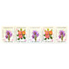 Verzameling van 5 Commemoratieve Postzegels van Iraanse Flora Deel 1