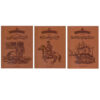 An Illustrated History of the United States door Fatemeh Shafiei