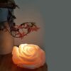 Perzische Bloem Zoutlamp – Handgemaakt Roos G2 Ontwerp