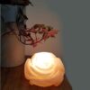 Perzische Bloem Zoutlamp – Handgemaakt Natuurlijke Steen Ontwerp