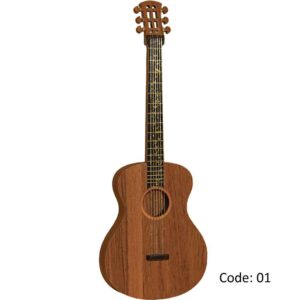 Maquette modelbouwset: Gitaarinstrument replica – Arya